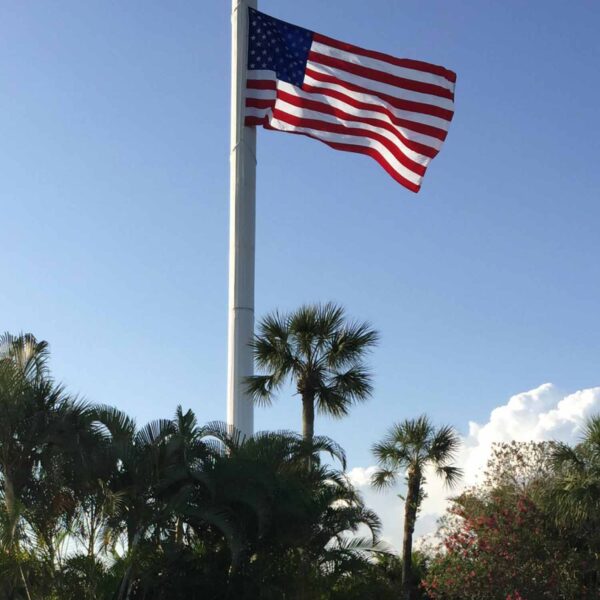 Vertex-Boca-FlagPole-Tower