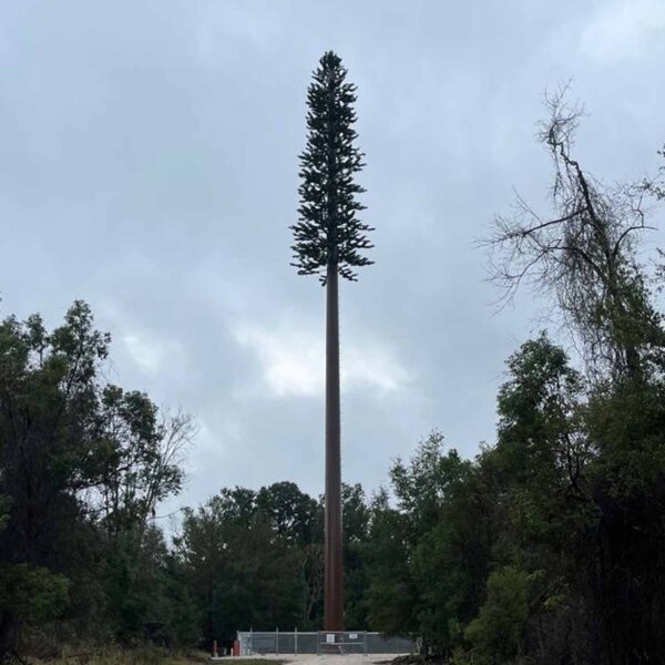 Vertex-Pitmann-Tower